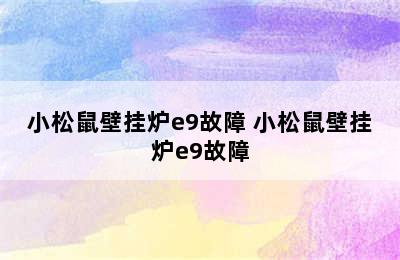 小松鼠壁挂炉e9故障 小松鼠壁挂炉e9故障